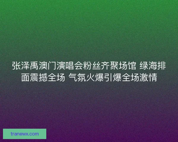 张泽禹澳门演唱会粉丝齐聚场馆 绿海排面震撼全场 气氛火爆引爆全场激情