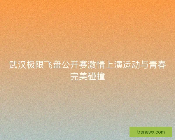 武汉极限飞盘公开赛激情上演运动与青春完美碰撞