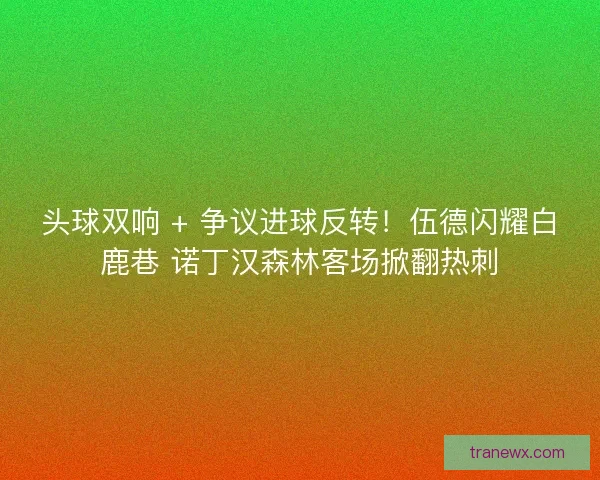头球双响 + 争议进球反转！伍德闪耀白鹿巷 诺丁汉森林客场掀翻热刺