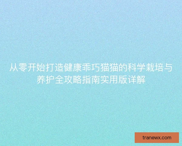 从零开始打造健康乖巧猫猫的科学栽培与养护全攻略指南实用版详解