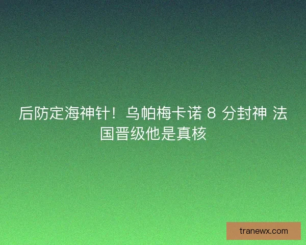 后防定海神针！乌帕梅卡诺 8 分封神 法国晋级他是真核